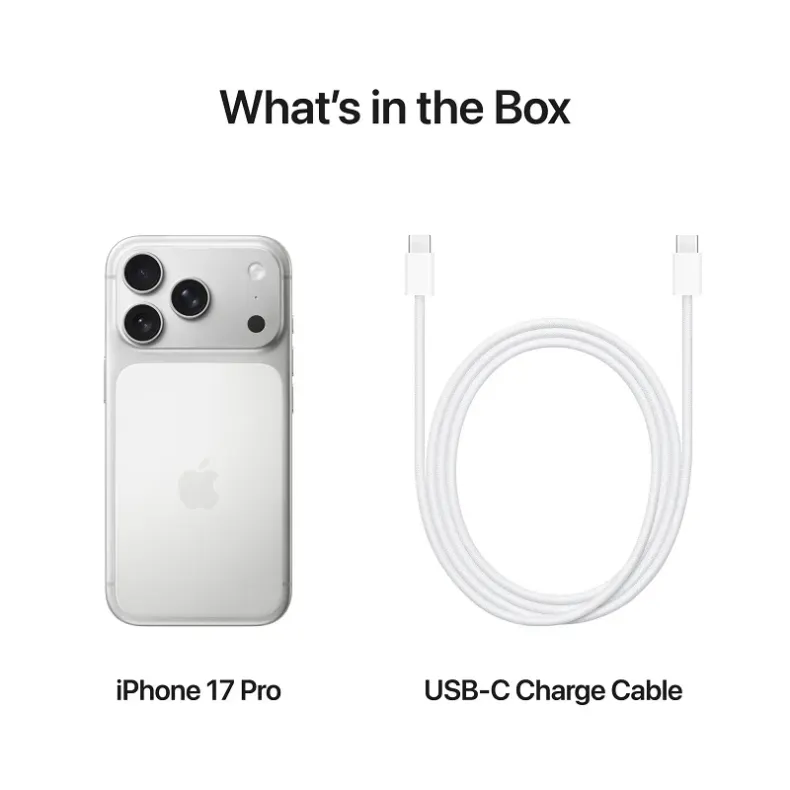 iPhone 16 Pro Max 1TB, sidabrinė, 8 nuotrauka
