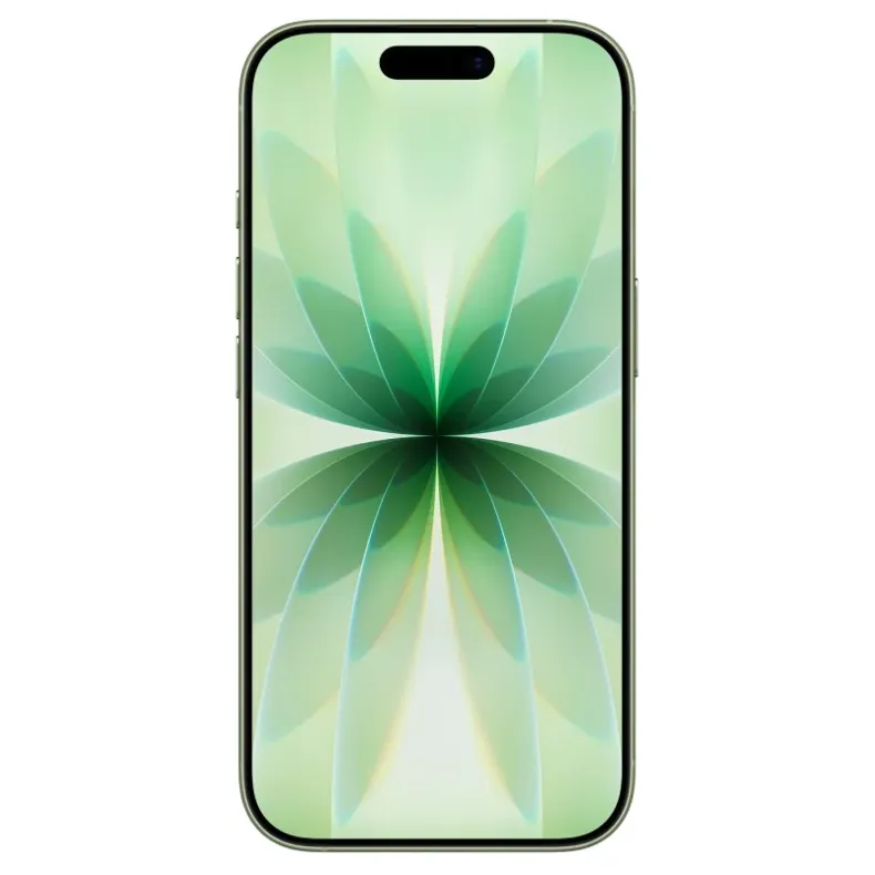 iPhone 17 256GB, šalavijo žalia, 2 nuotrauka.