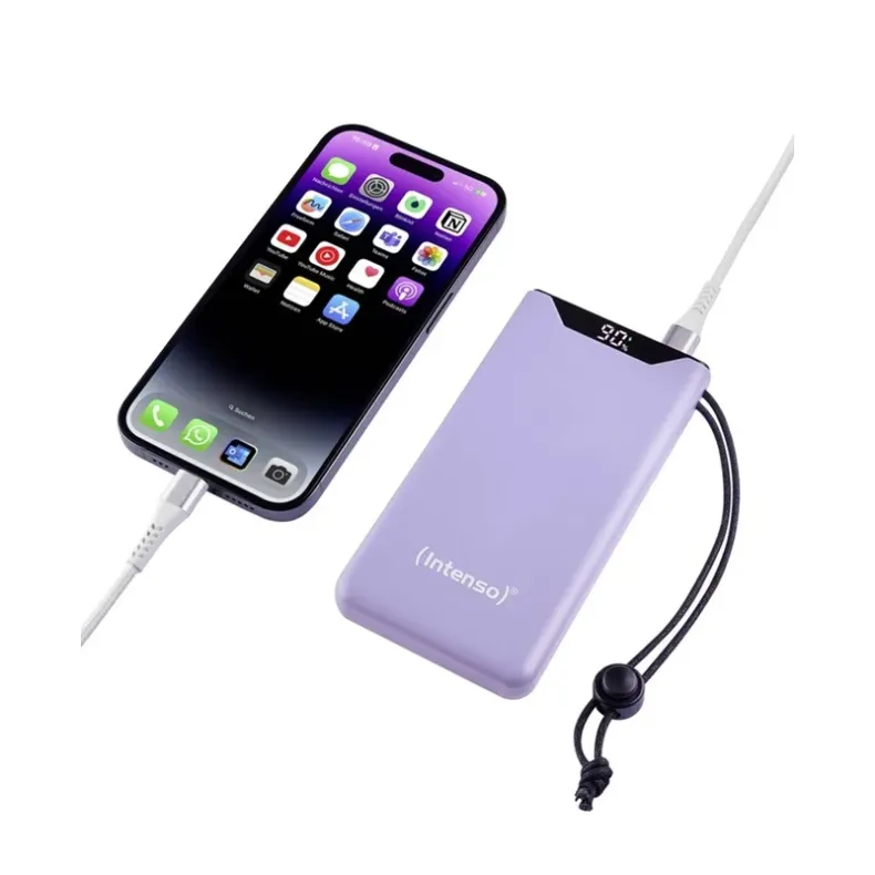 Intenso F10000 išorinė baterija - 10000 mAh,4 nuotrauka