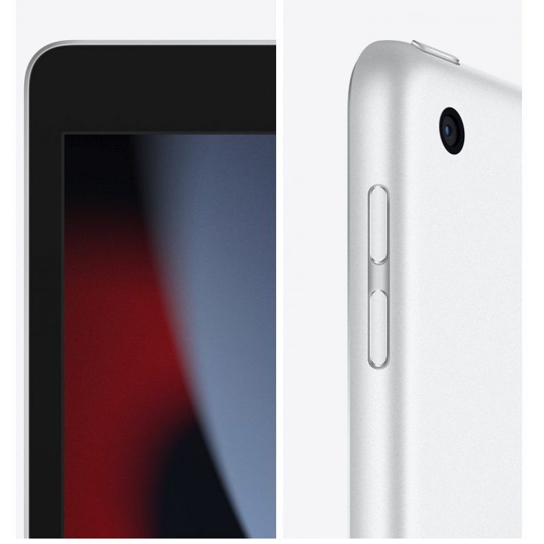 APPLE 10.2 iPad Wi-Fi 256GB Silver 9th mygtukaiGen 
