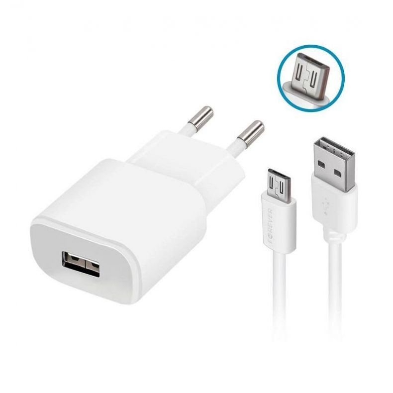 tinklo įkroviklis 10W + laidas microUSB