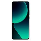 Xiaomi_13Tpro_zalias_ekranas